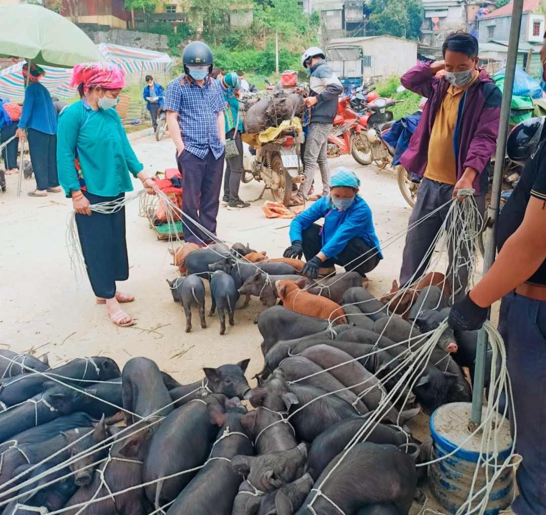Những sản vật núi rừng được bán tại chợ, không phải nơi nào cũng có